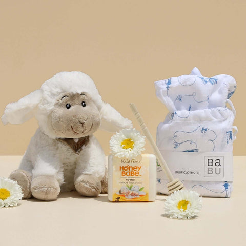 New Baby Gift, New Baby Online Gift NZ